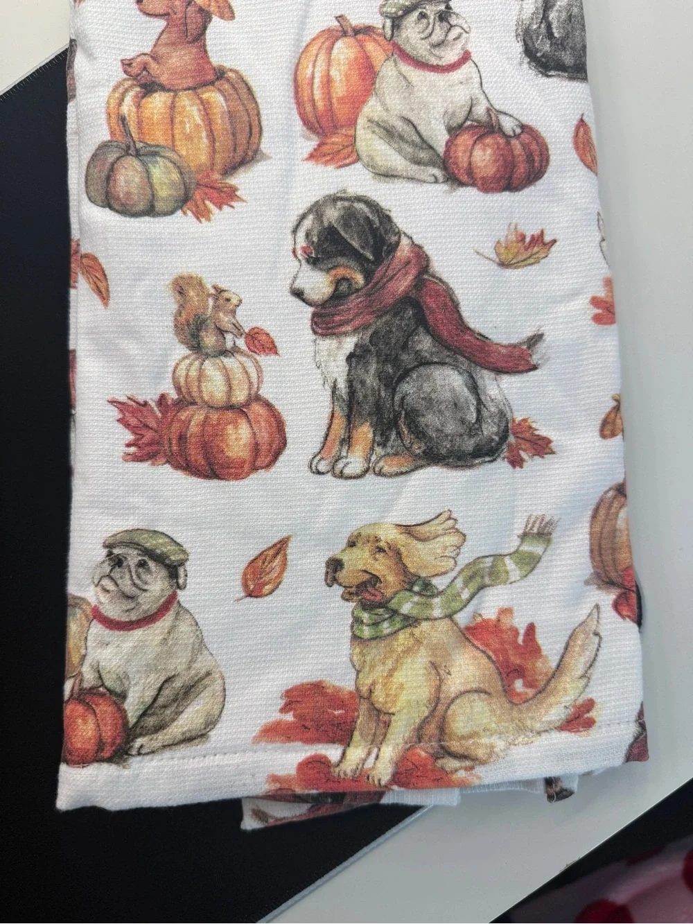 KAY DEE KITCHEN TOWELS (2) DOGS PUMPKINS LEAVES FALL 18 X 28 TERRY LINED NWT